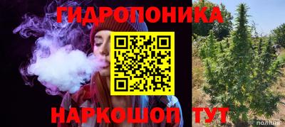a pvp Будённовск