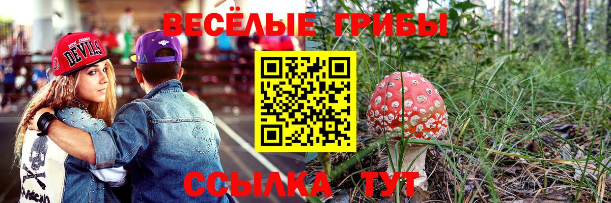 Галлюциногенные грибы ЛСД  Псилоцибиновые грибы MAGIC MUSHROOMS  Междуреченск  Вход с VPN 